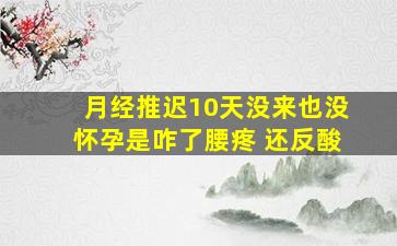 月经推迟10天没来也没怀孕是咋了腰疼 还反酸